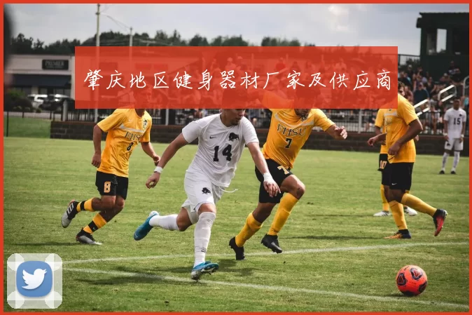 肇庆地区健身器材厂家及供应商