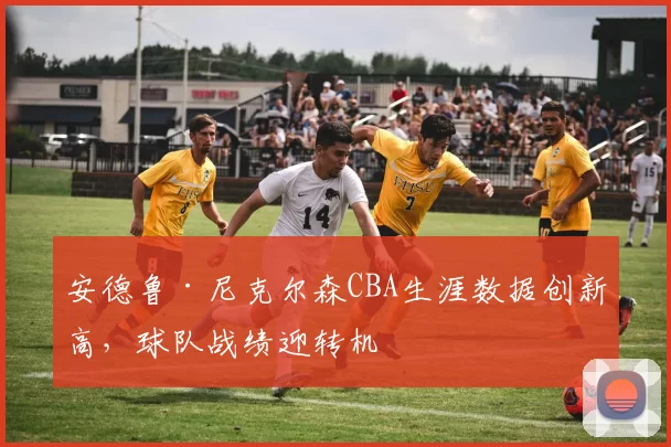 安德鲁·尼克尔森CBA生涯数据创新高,球队战绩迎转机