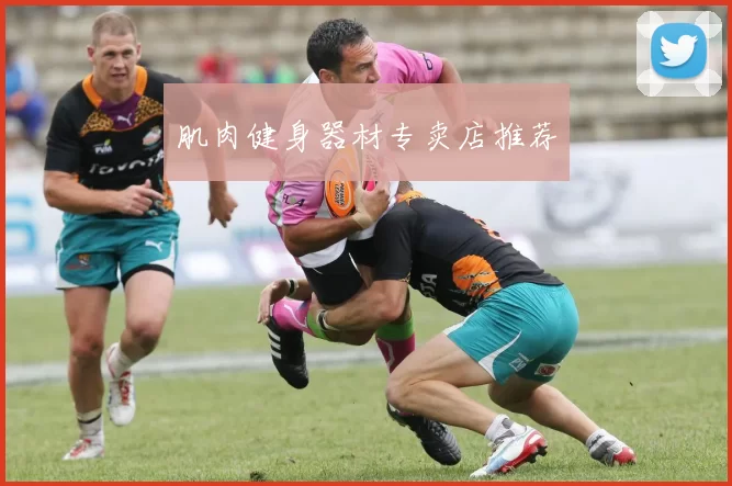 肌肉健身器材专卖店推荐