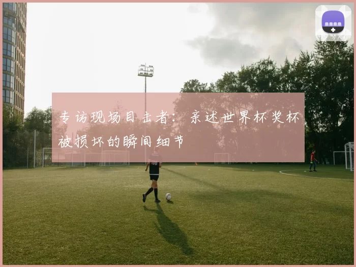 专访现场目击者:亲述世界杯奖杯被损坏的瞬间细节