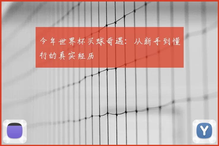 今年世界杯买球奇遇:从新手到懂行的真实经历