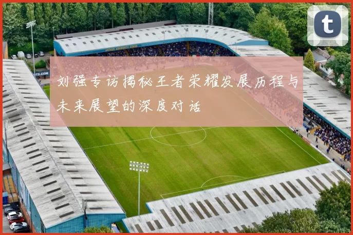 刘强专访揭秘王者荣耀发展历程与未来展望的深度对话