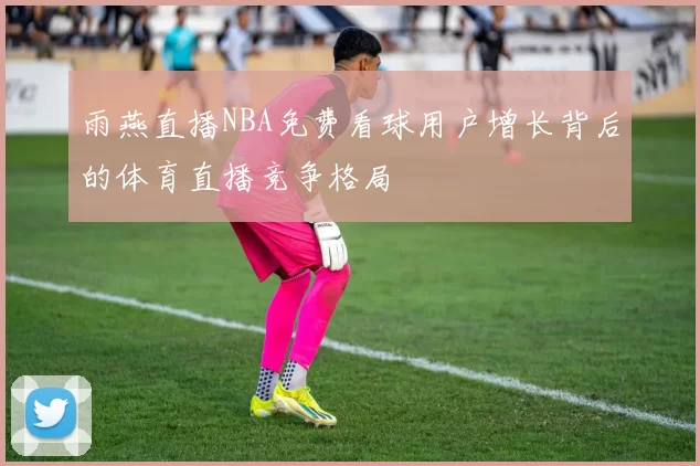 雨燕直播NBA免费看球用户增长背后的体育直播竞争格局