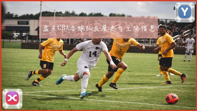 盘点CBA各球队发展史与主场信息
