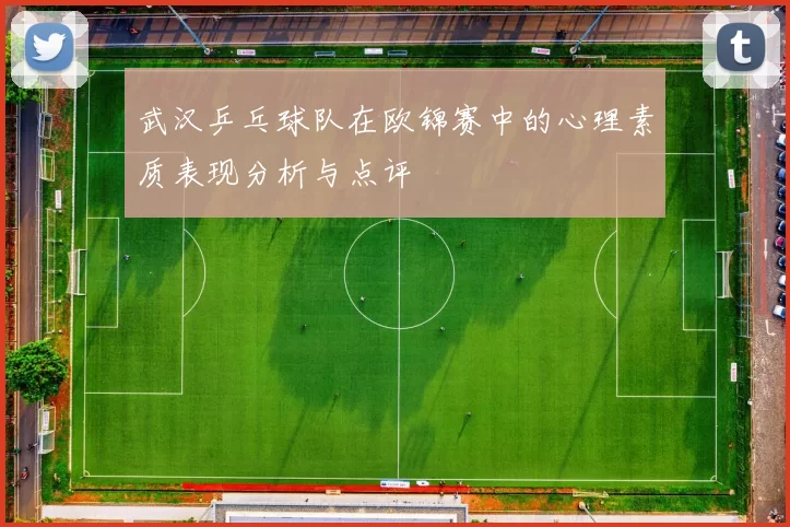 武汉乒乓球队在欧锦赛中的心理素质表现分析与点评