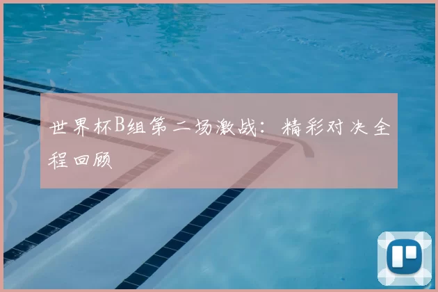 世界杯B组第二场激战:精彩对决全程回顾