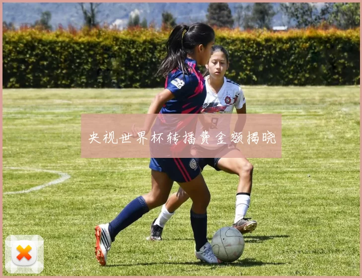 央视世界杯转播费金额揭晓
