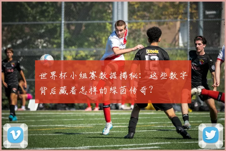 世界杯小组赛数据揭秘：这些数字背后藏着怎样的绿茵传奇？