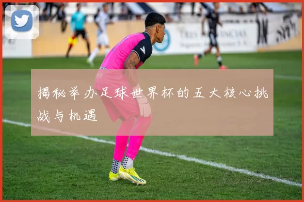 揭秘举办足球世界杯的五大核心挑战与机遇