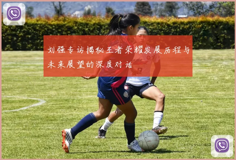 刘强专访揭秘王者荣耀发展历程与未来展望的深度对话