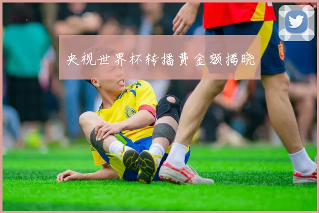 央视世界杯转播费金额揭晓